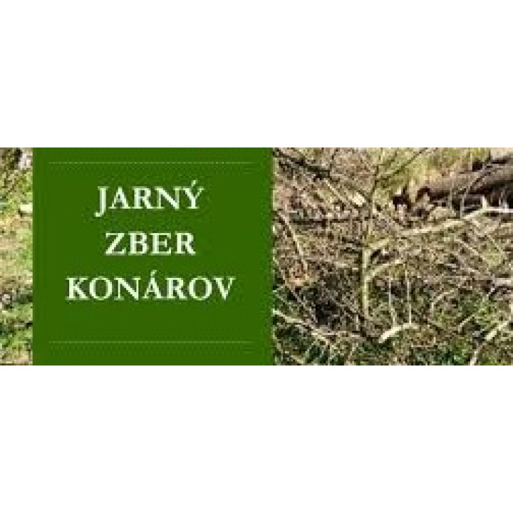 Menšia fotka pre článok Oznámenie -  Jarný  zber konárov 